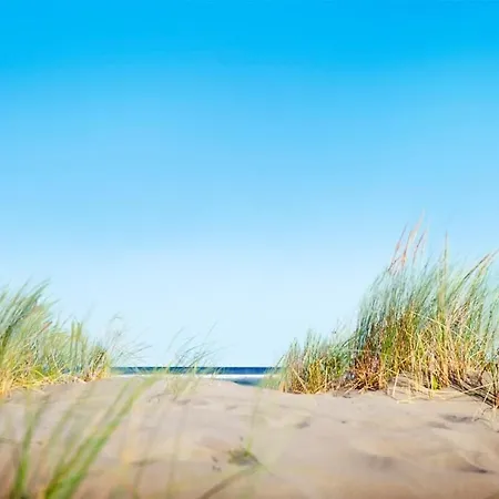 Sun & Sea Holidays-de Zeester * Noordwijkerhout